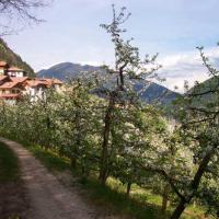 Agritur Sotto il Melo - (5)