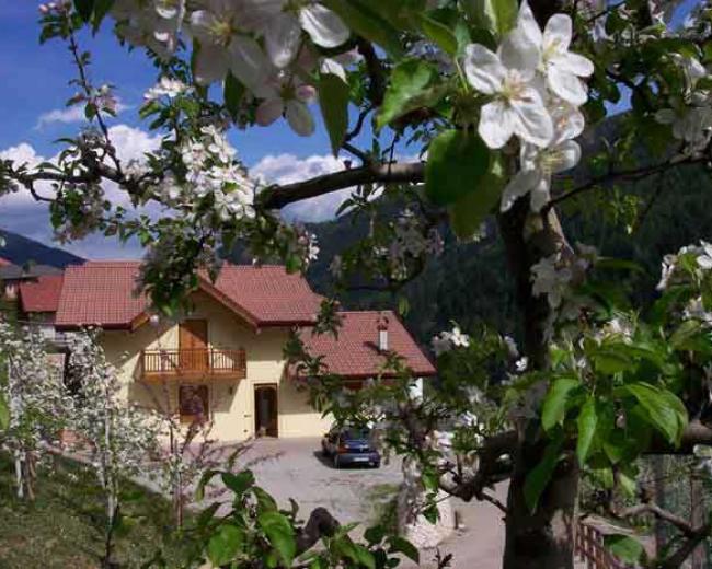 Agritur Sotto il Melo