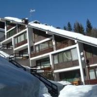 Agenzia Immobiliare Alpensole - (13)