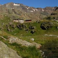 Rifugio Dorigoni - (9)