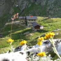 Rifugio Dorigoni - (6)