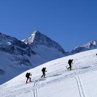 Stella Alpina Al Lago Corvo - (5)