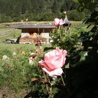 Hotel Chalet Alpenrose - (2)