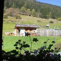 Hotel Chalet Alpenrose - (5)